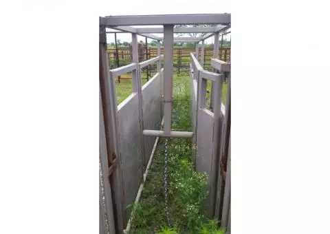 Cattle Tub and Chute for sale